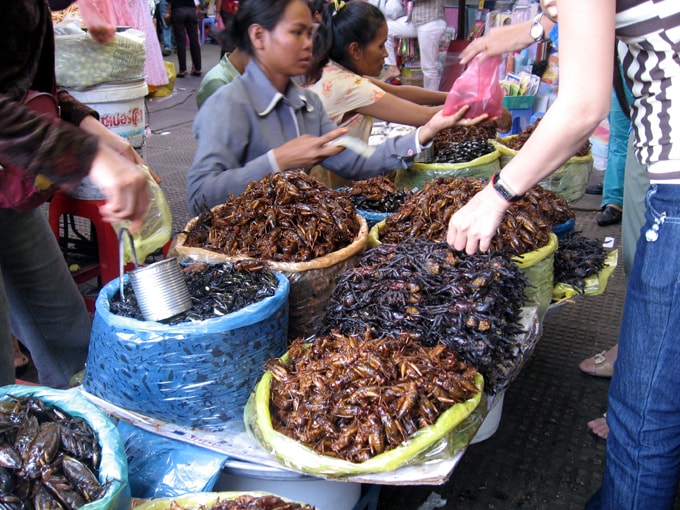 đặc sản côn trùng ở Campuchia-min